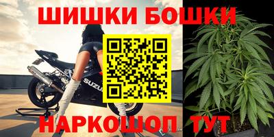 МДПВ Будённовск