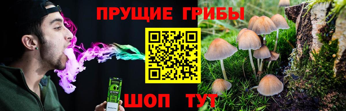 Галлюциногенные грибы Psilocybine cubensis  Вход с VPN  Пугачёв  Псилоцибиновые грибы мухоморы 