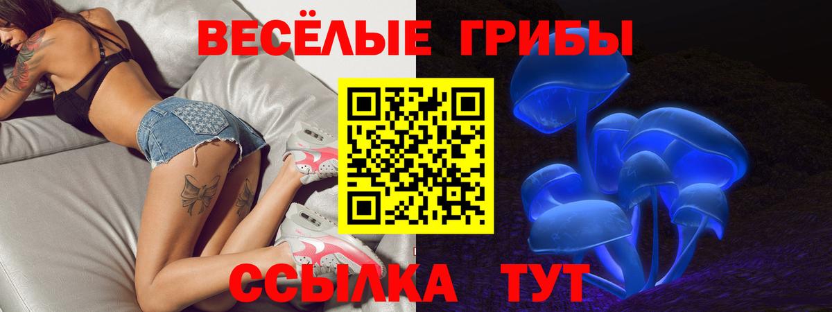 Псилоцибиновые грибы прущие грибы Пугачёв